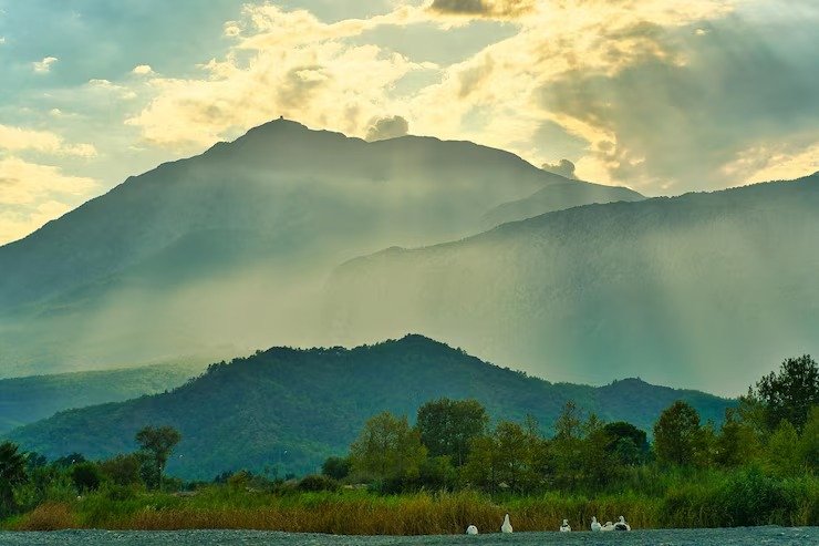 Trekking trail view